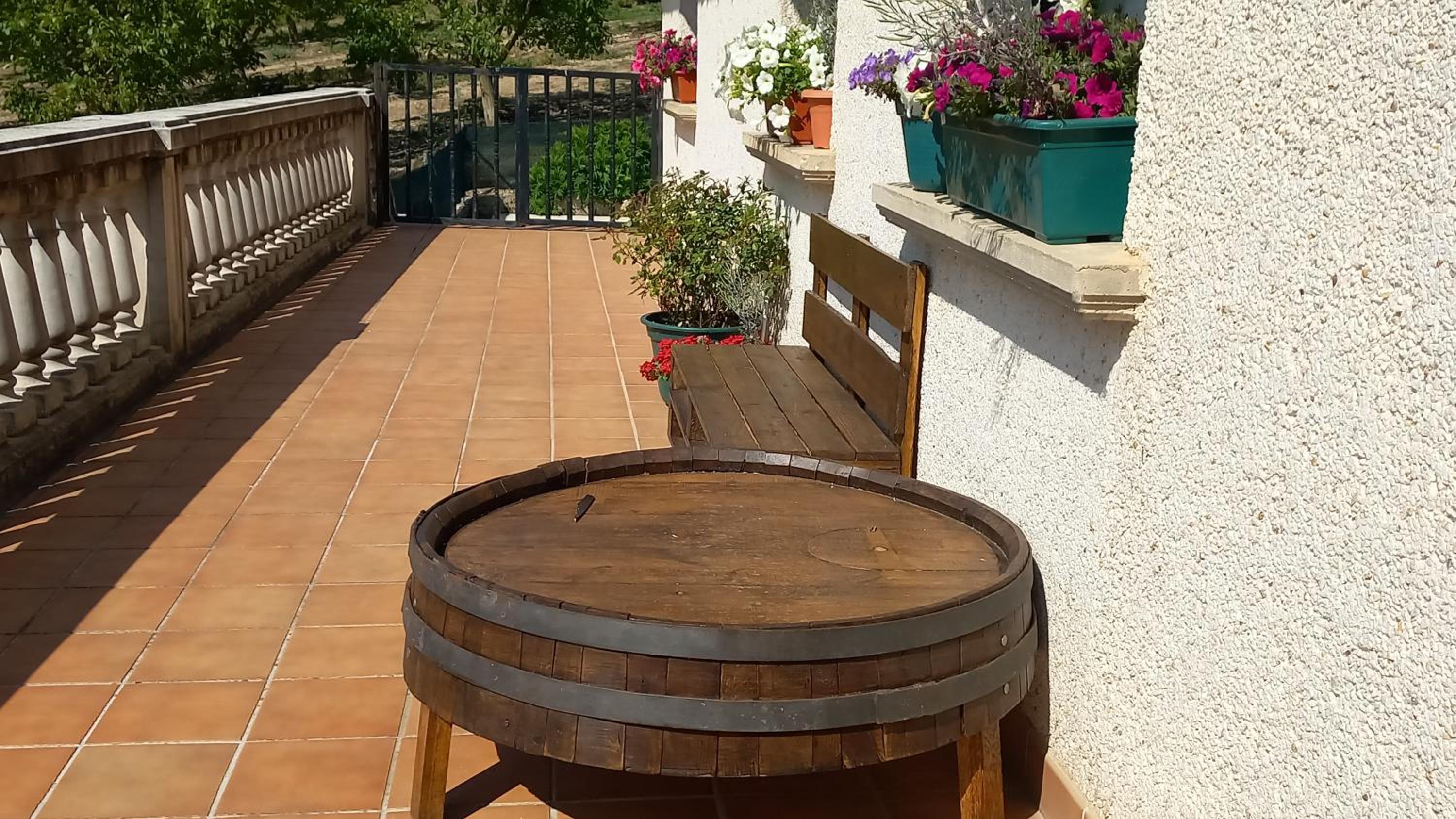 balance & terrace