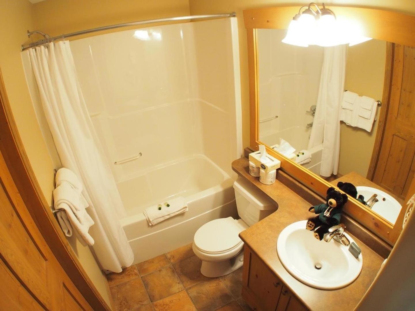 Sun Peaks Vacations - Crystal Forest 62 By Bear Country - Property Image 19