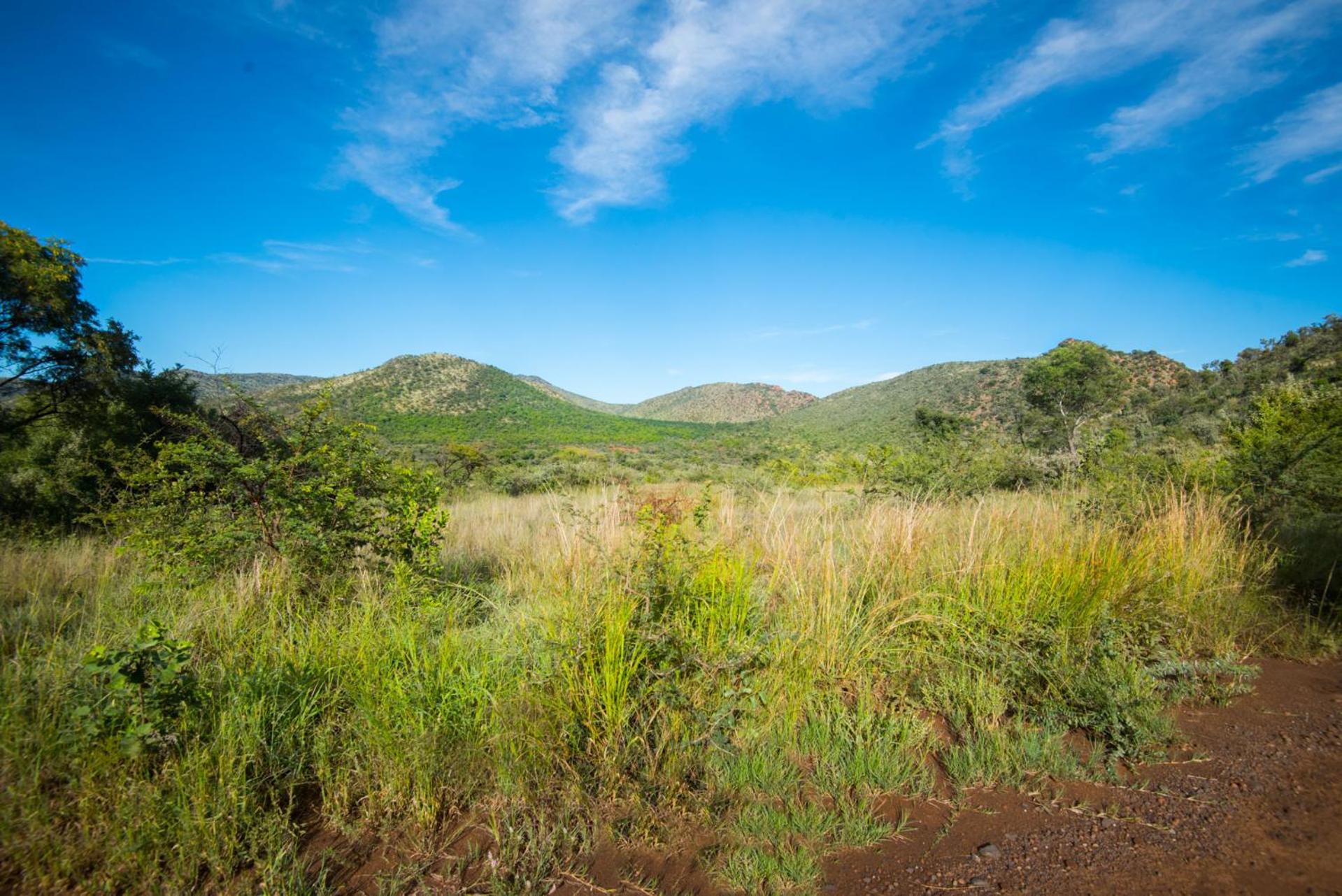 Lush Private Game Lodge