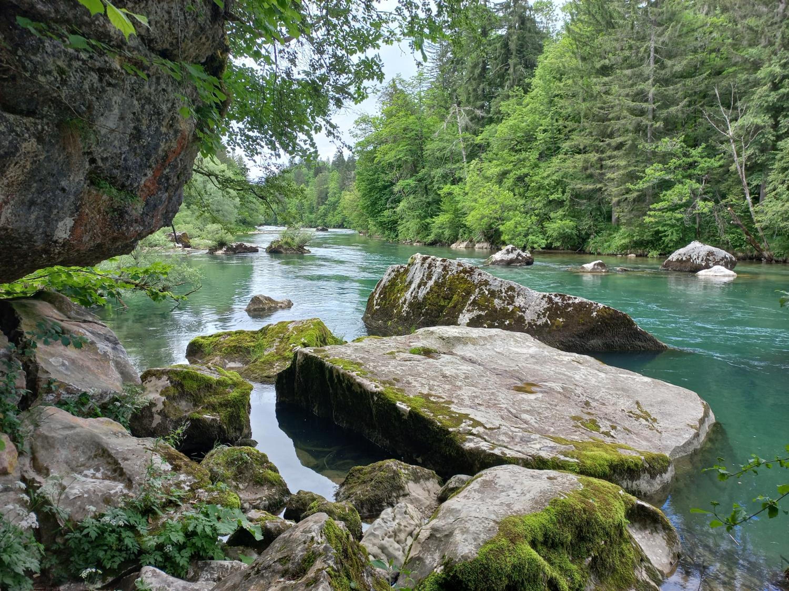 Photo 12