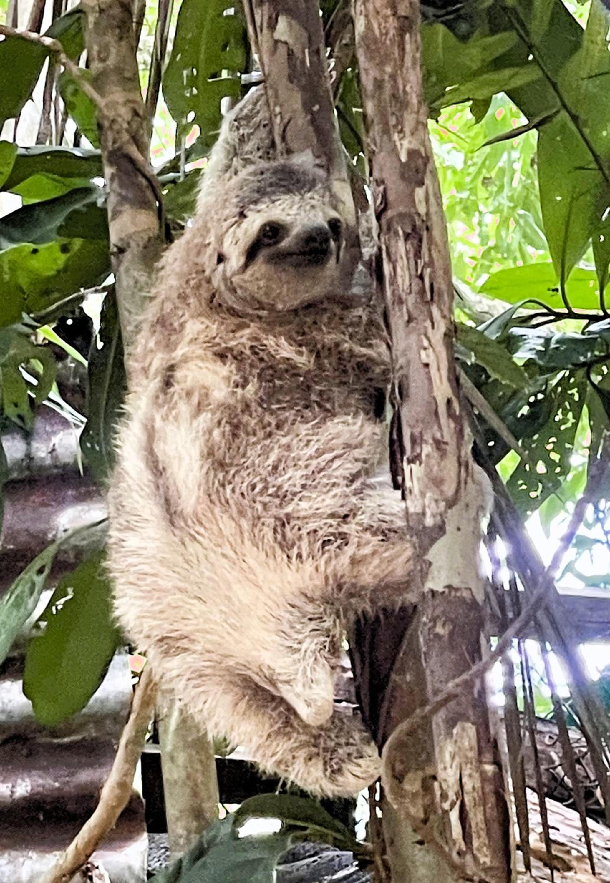 An abundance of wildlife at Jungle Glory Home Abajo