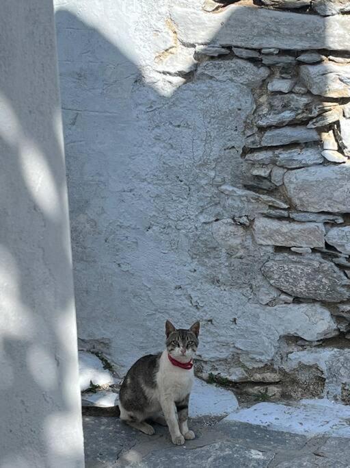 Photo 26