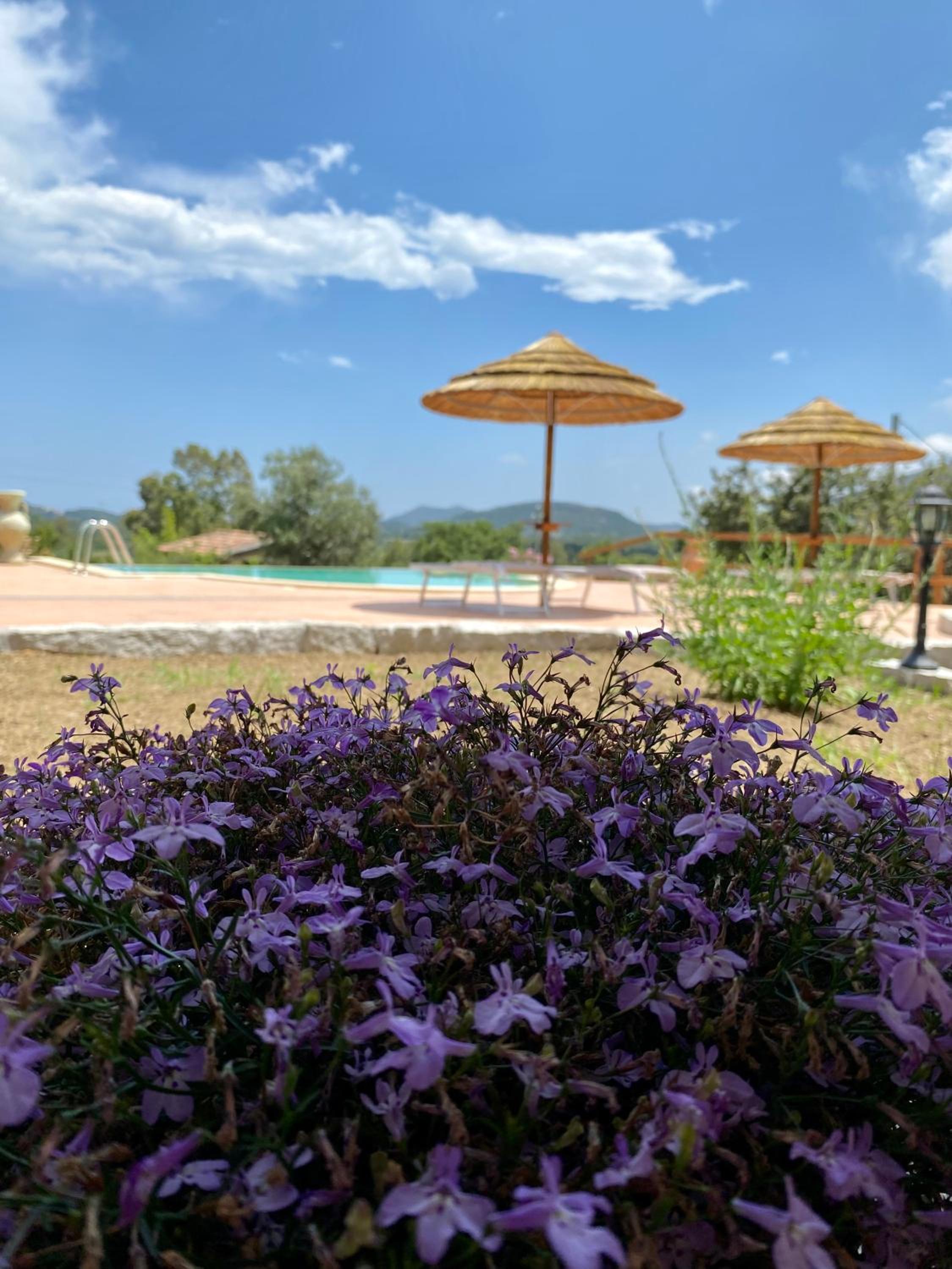 B&B Blue Relax - Turismo rurale view 5