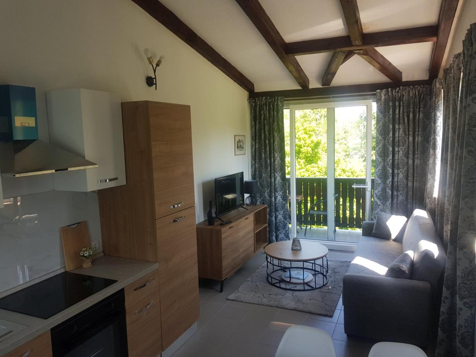 APARTMANI SRCE MREŽNICE, photo 9