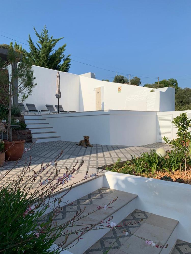 Casa na Colina : The Cottage and The Long House view 5