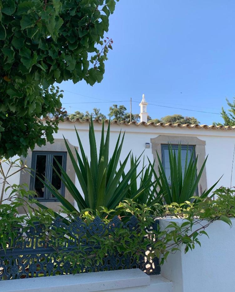 Casa na Colina : The Cottage and The Long House view 4
