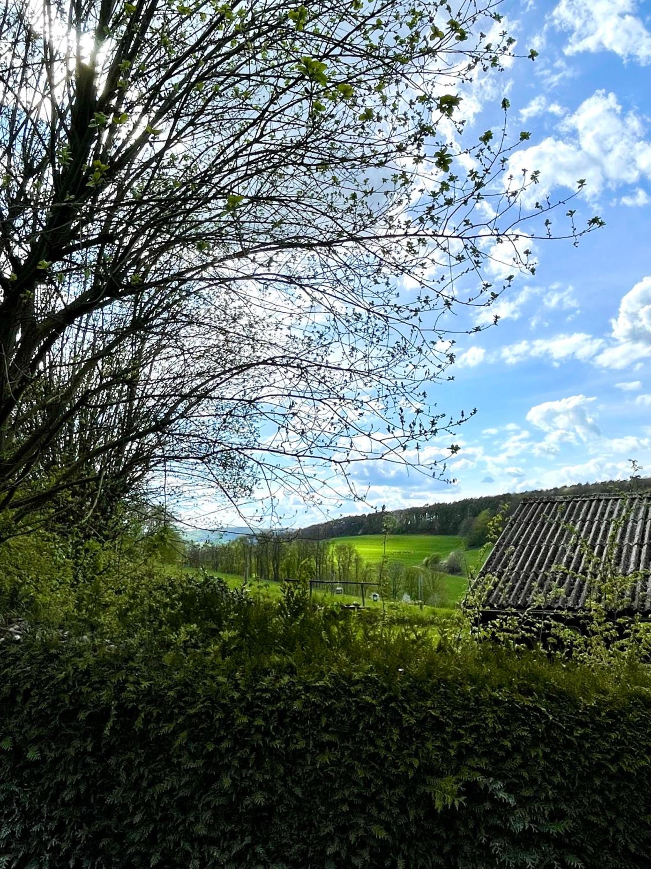 Ferienhaus Kleine Auszeit in der Natur mit Kamin, Yogamatten, schöne Küche