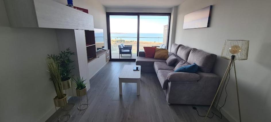 Vista de Flamencos