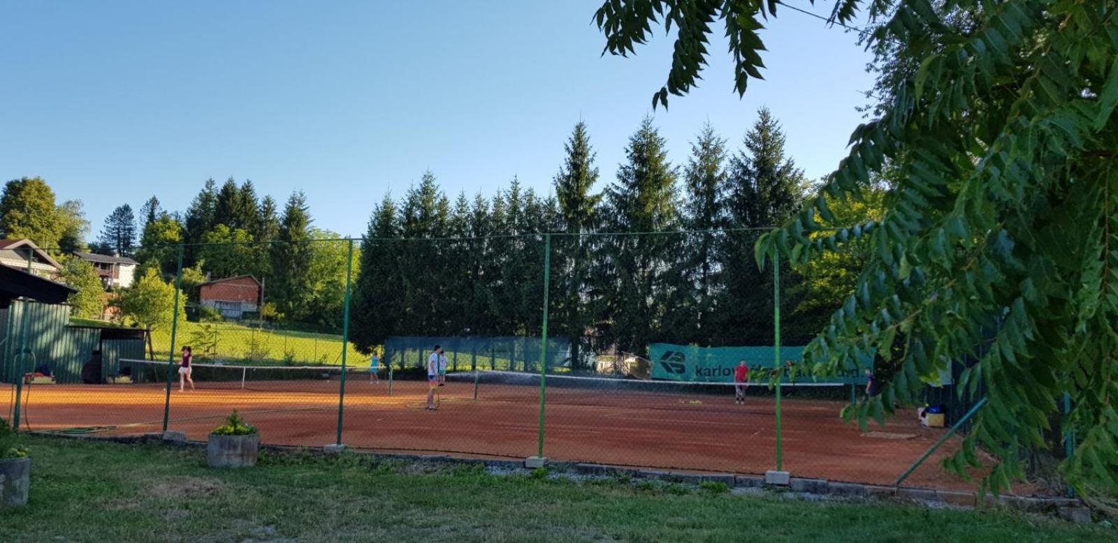 APARTMANI SRCE MREŽNICE photo 5