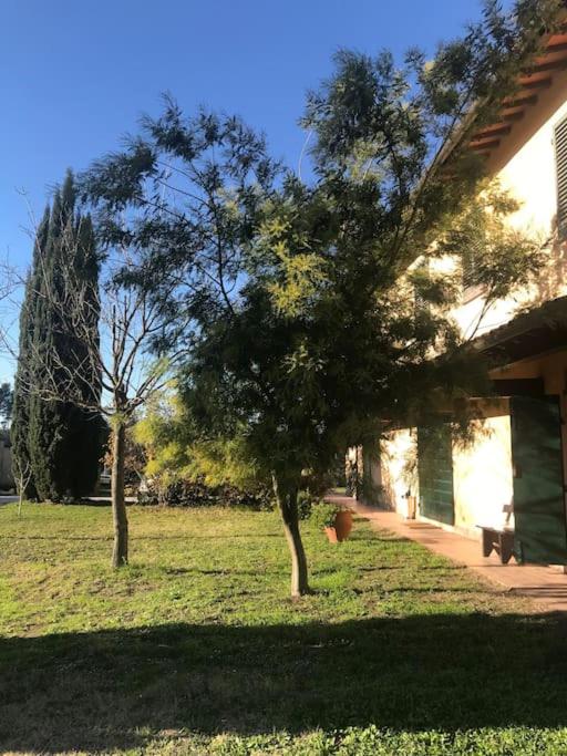 Casa Isabelle view 4
