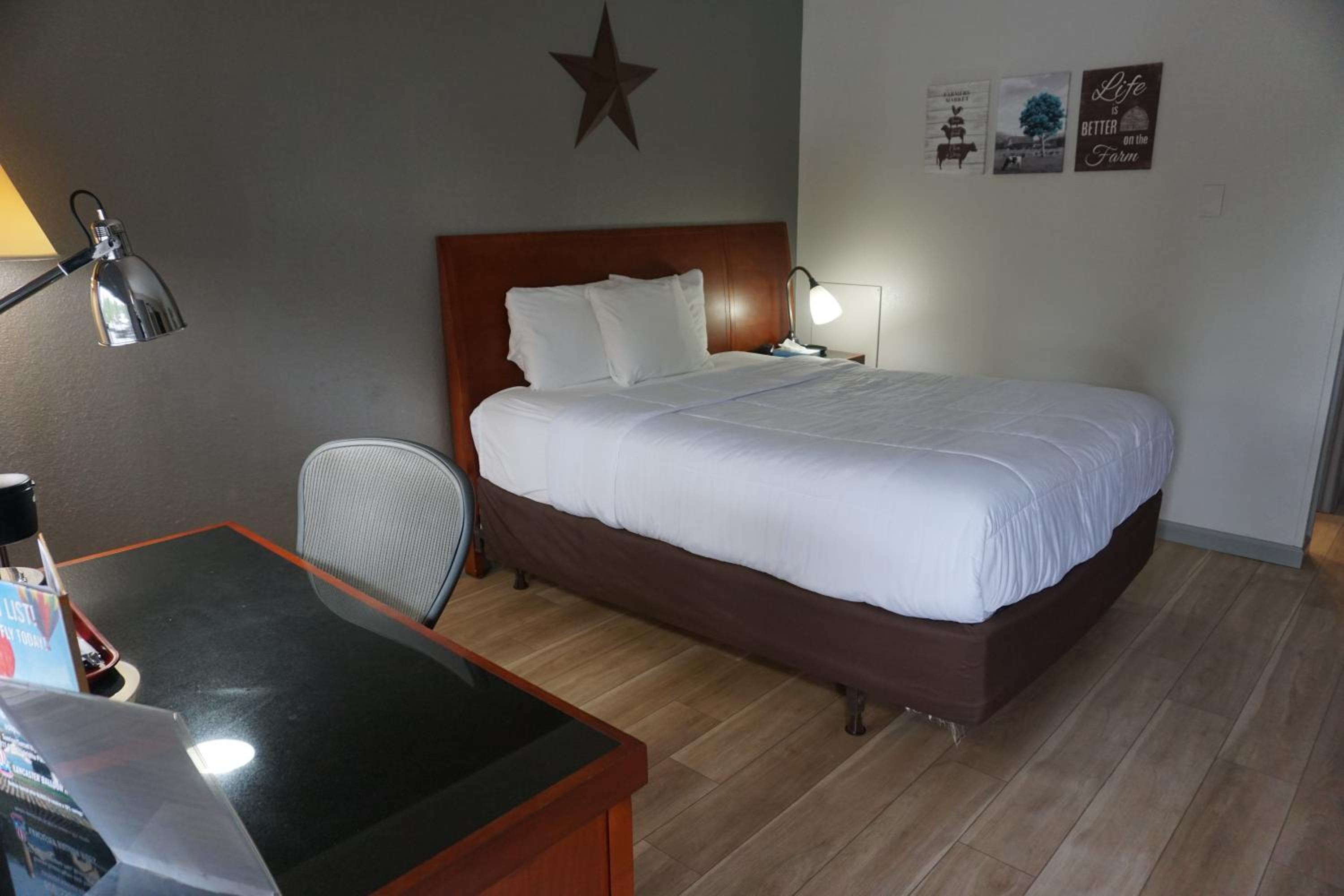 Photo 12