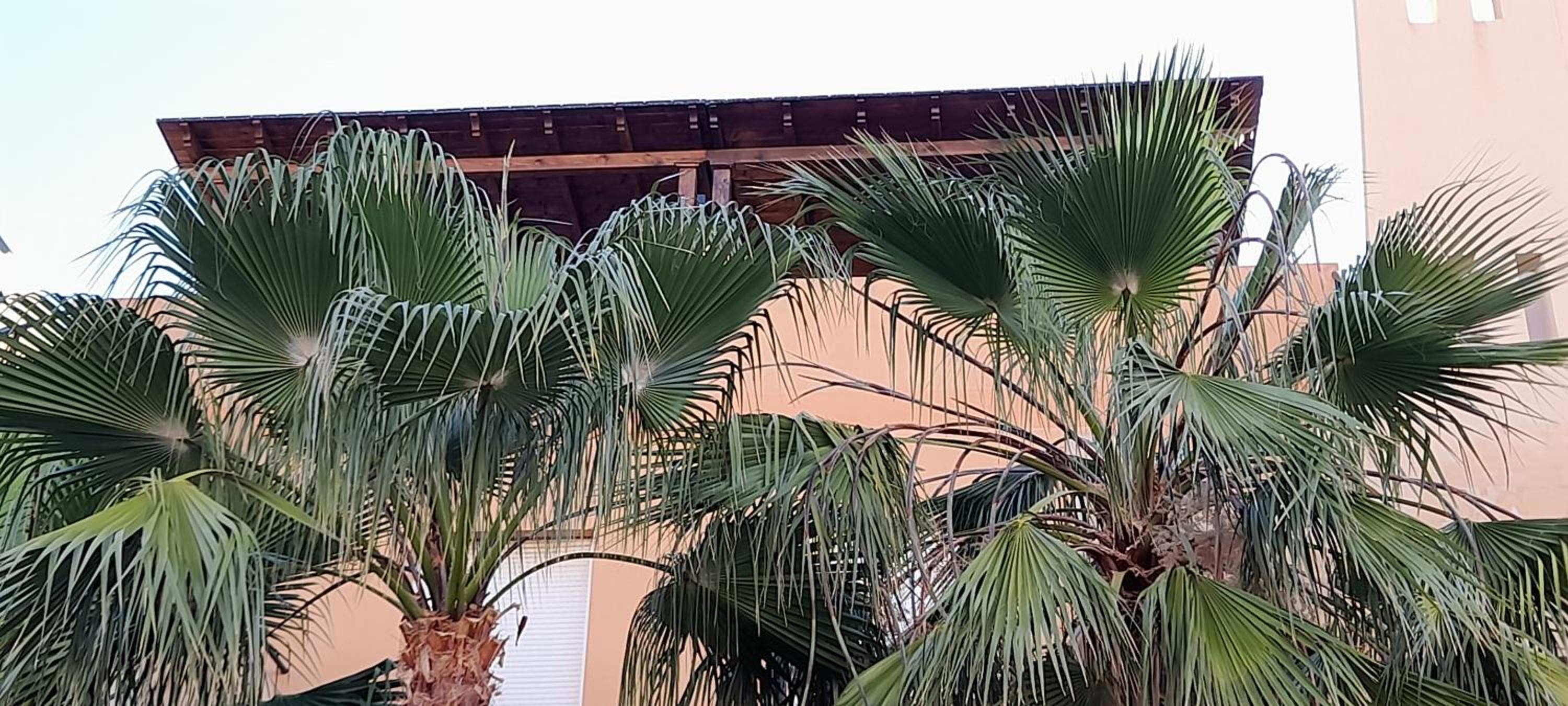 ÁTICO Paraíso Beach con piscina privada
