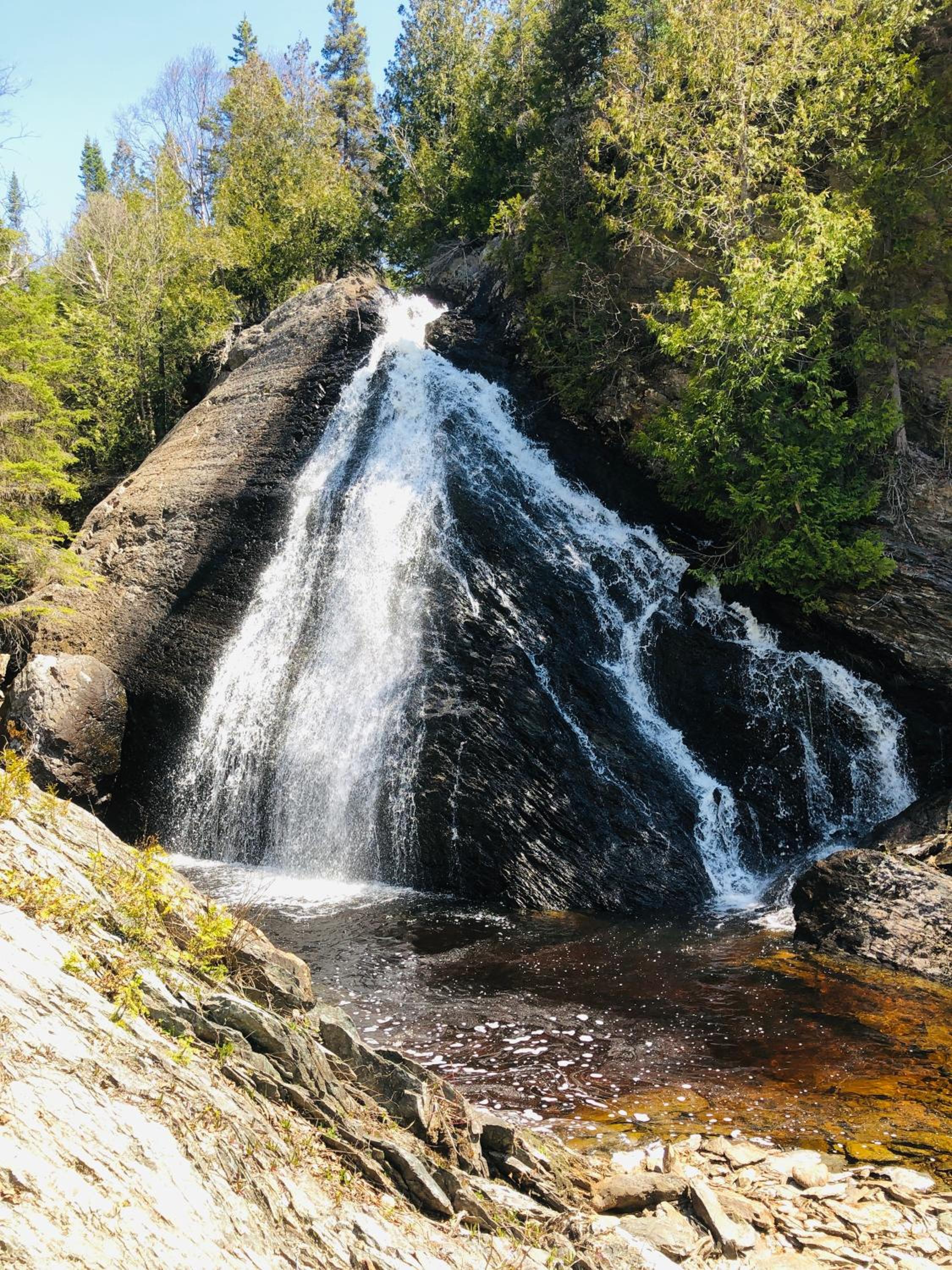 Photo 19