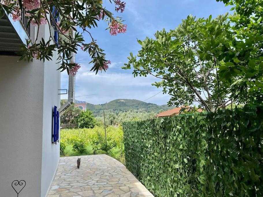 The Vineyard Lefkas view 5