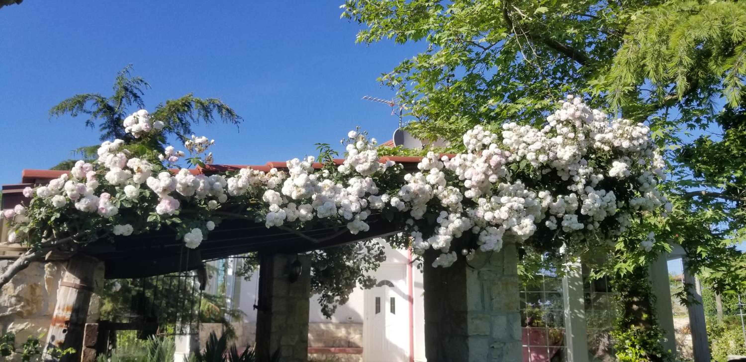 Country House Bubullime Albania (Villa - Cottage)