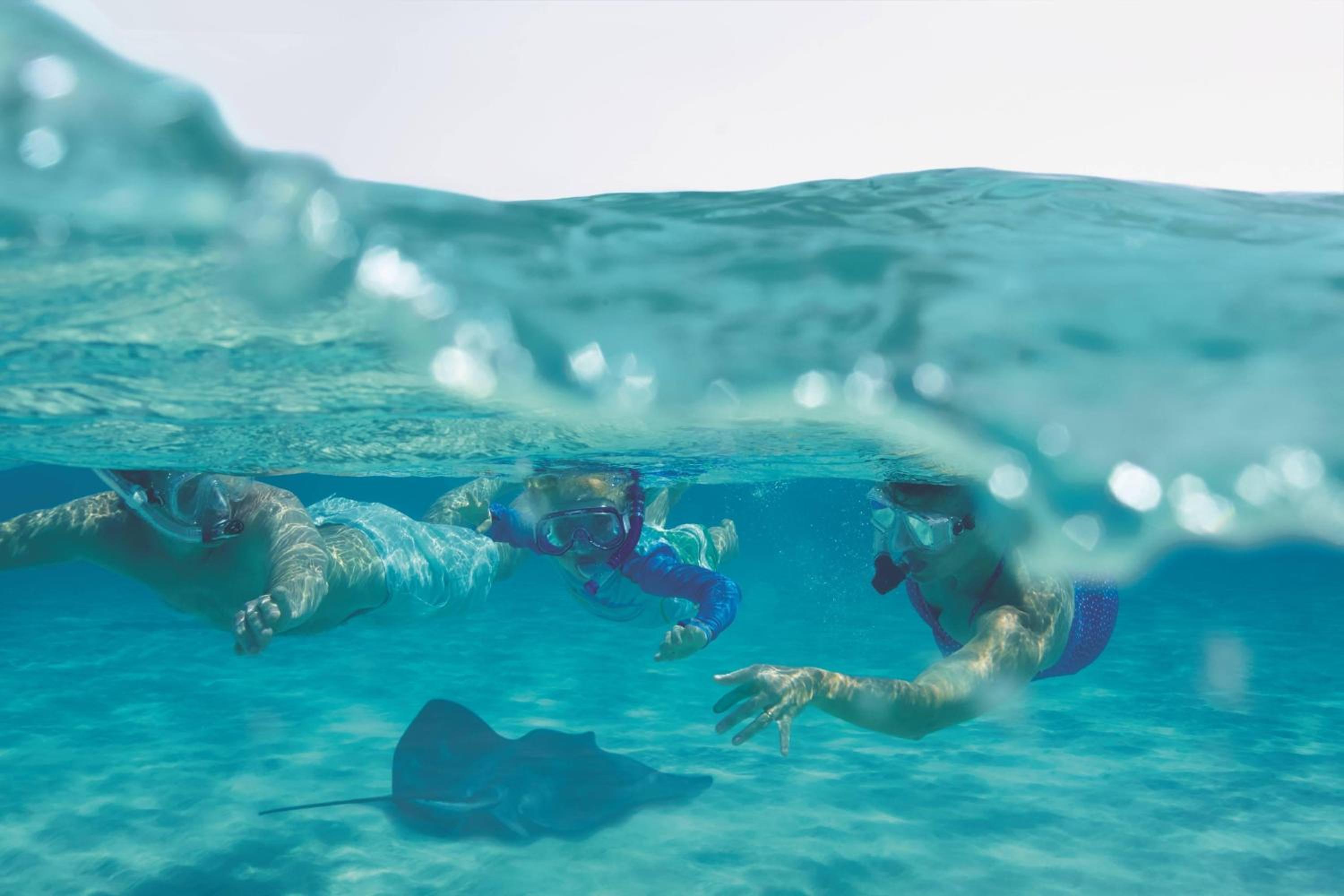 The Ritz-Carlton, Grand Cayman - Photo 103