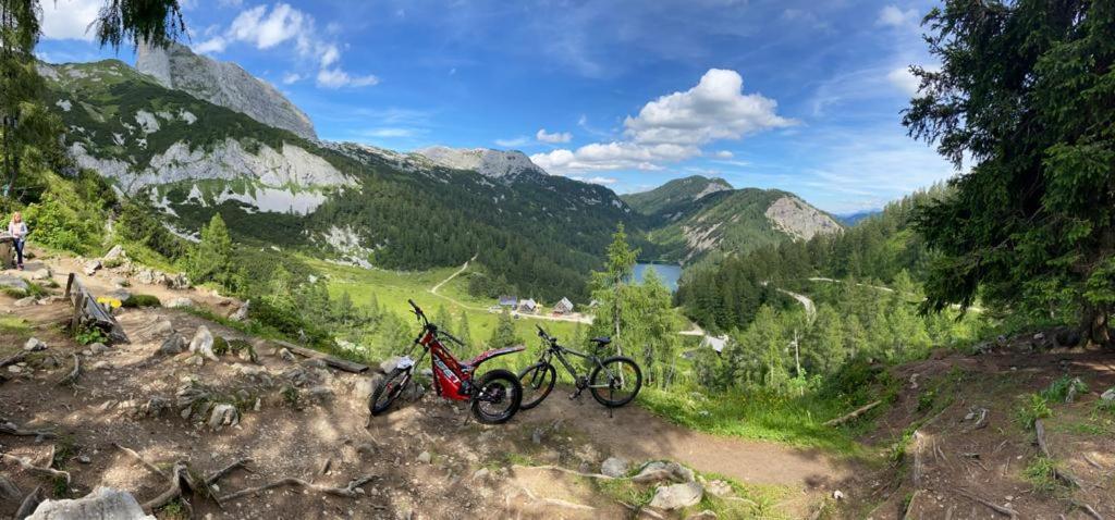 Alpenapartments Steiermark