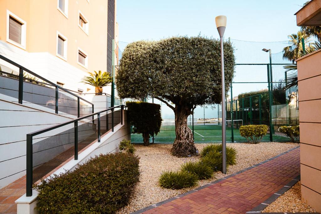 Sol Dénia