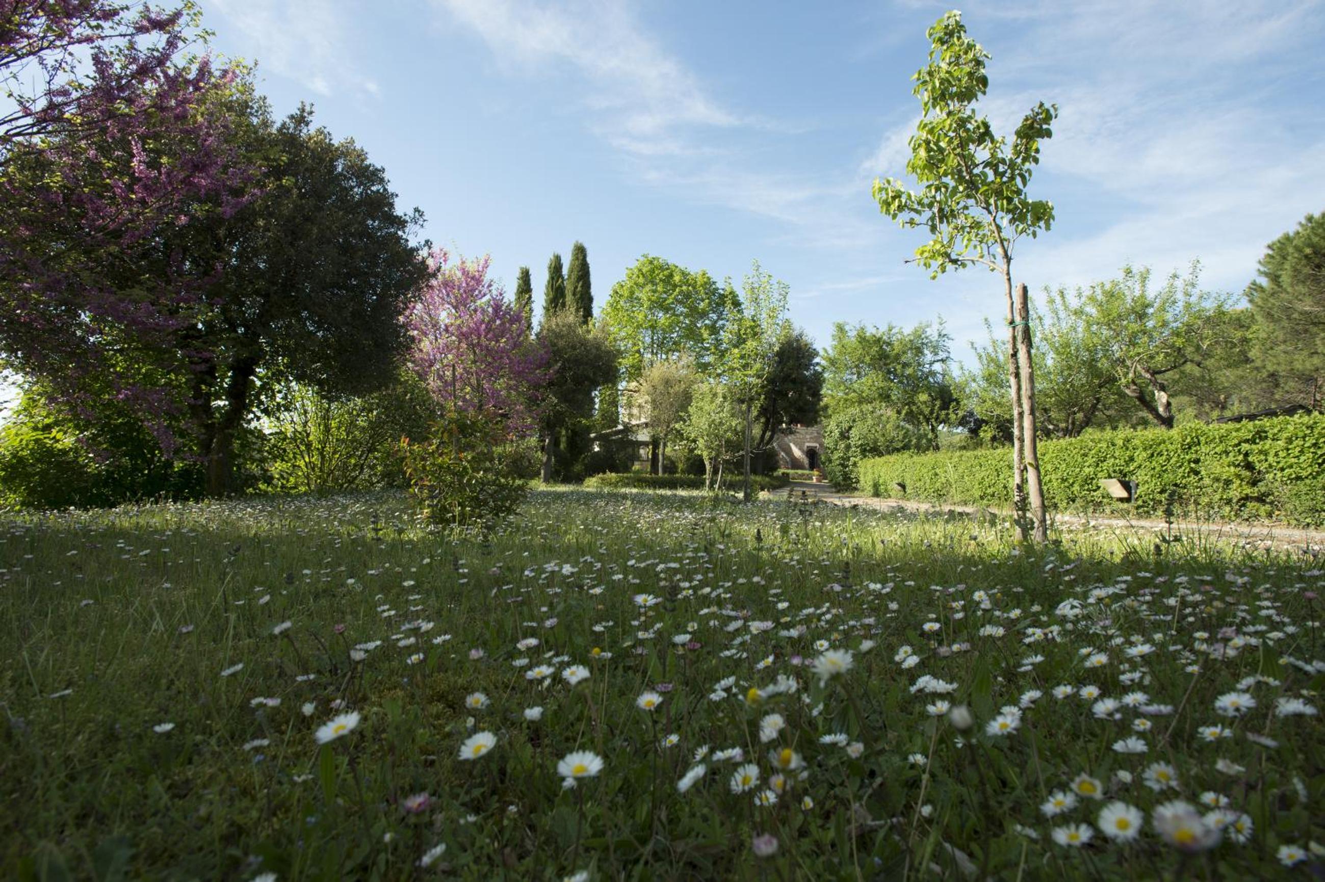 La Vittoria 10 – La Soglia della Val d’Orcia
