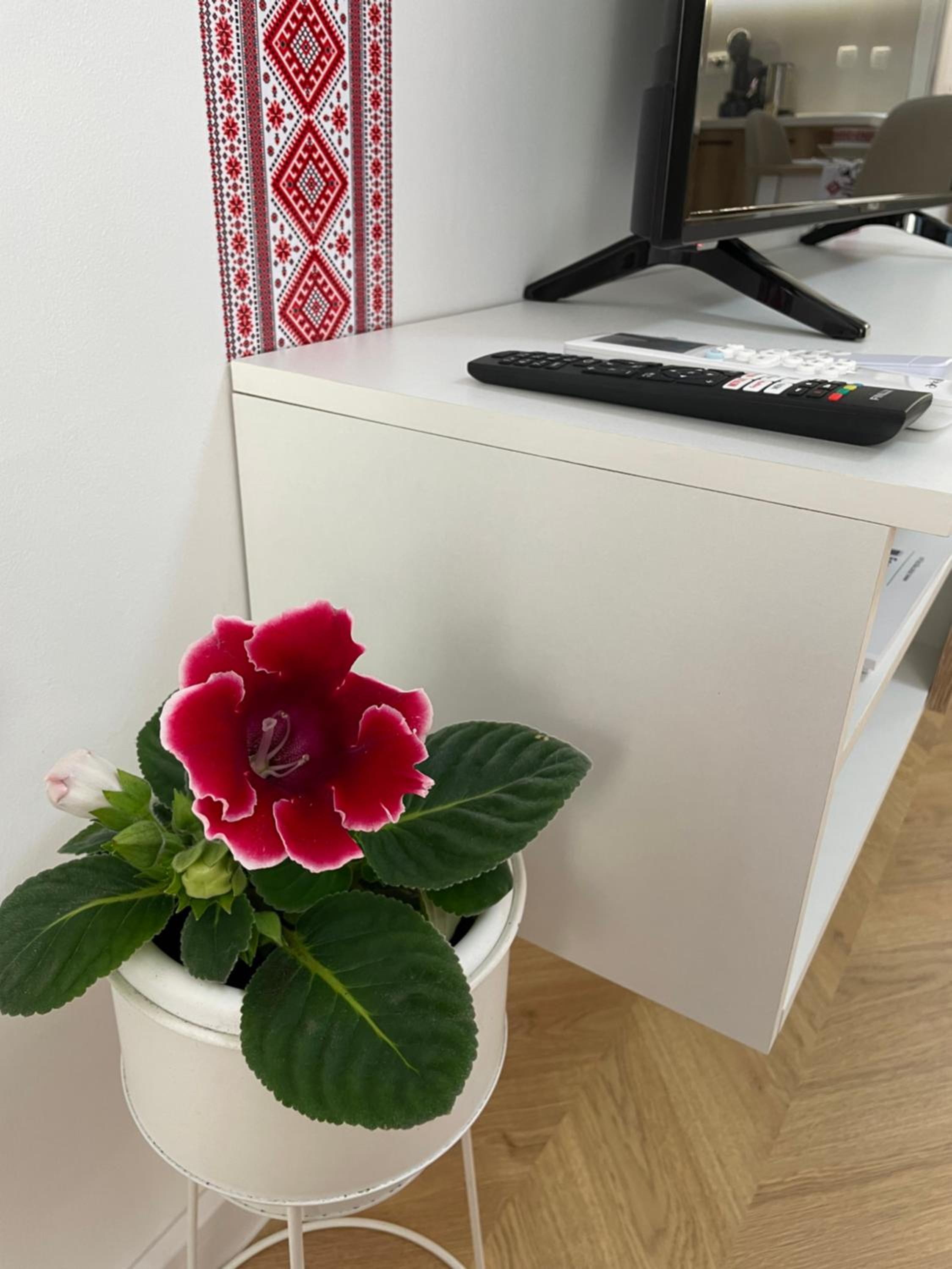 Studio Shevitsa- EV Wallbox