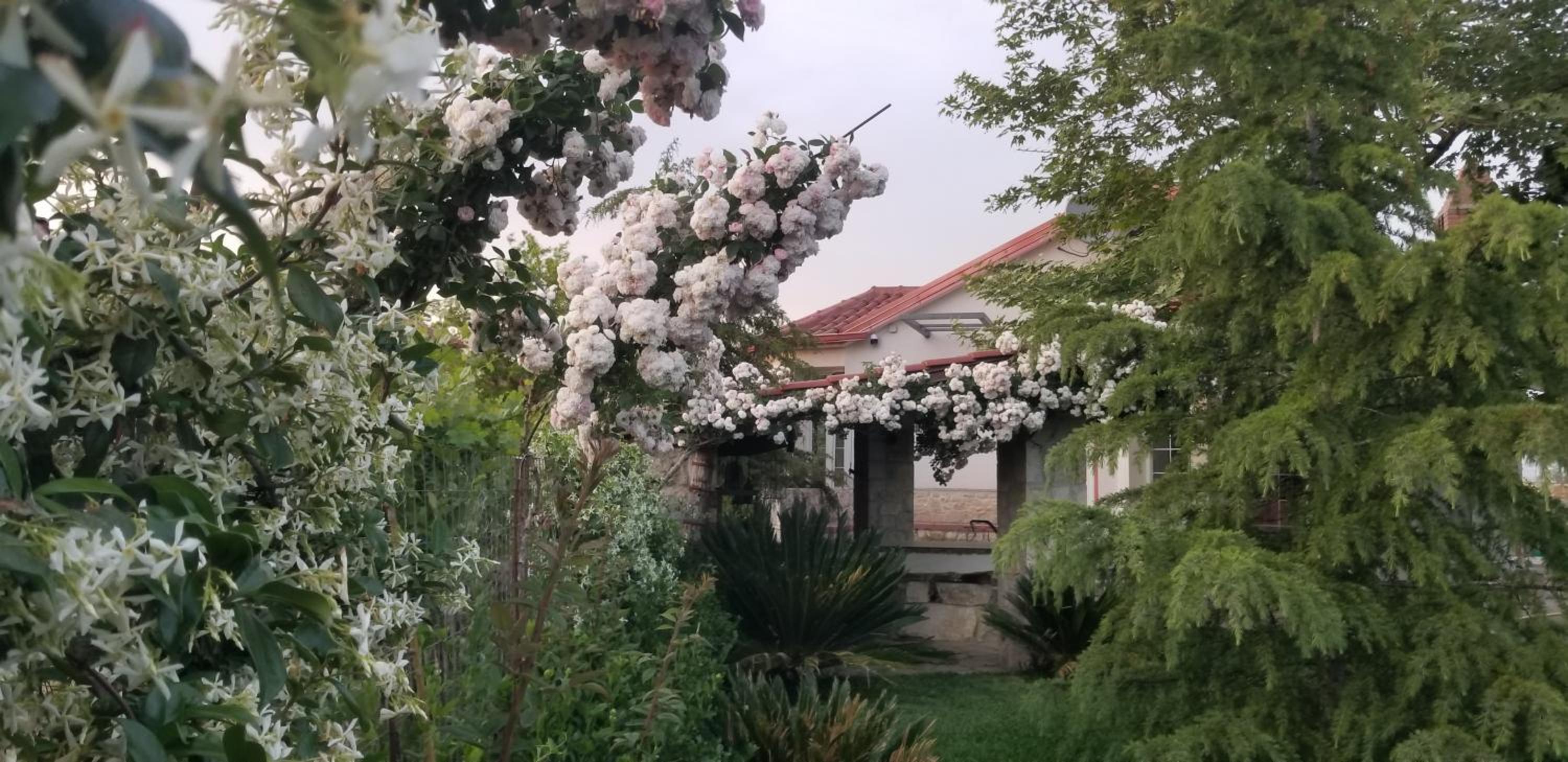 Country House Bubullime Albania (Villa - Cottage)