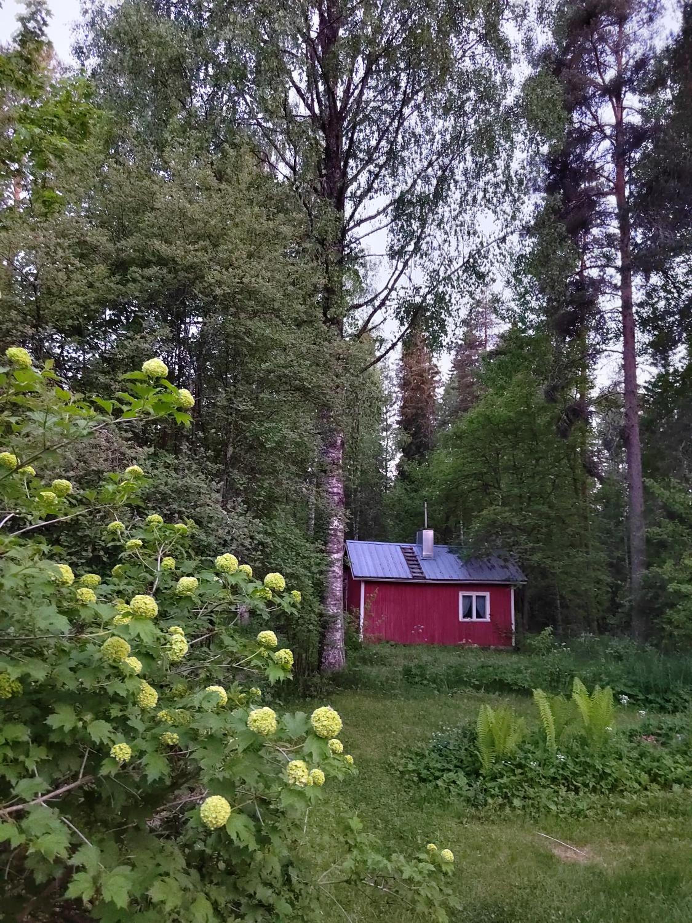 Ilmastoitu huvila ja rantasauna