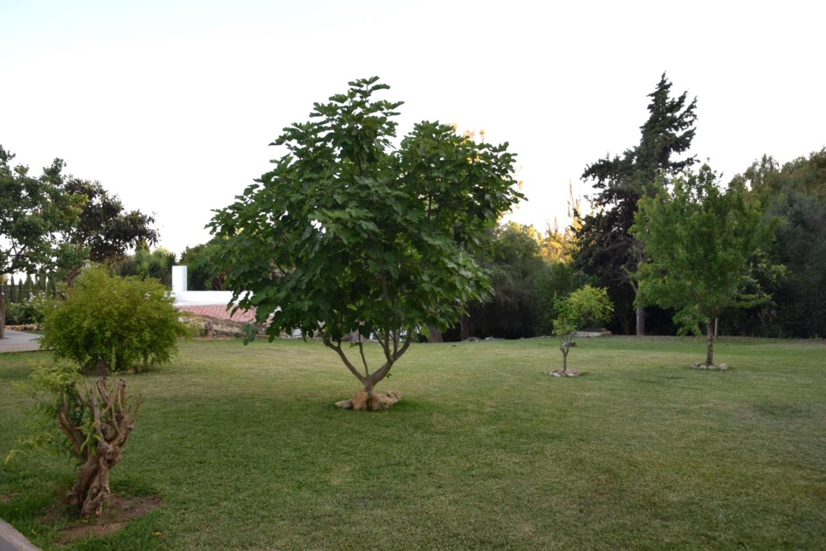 Casa Therese