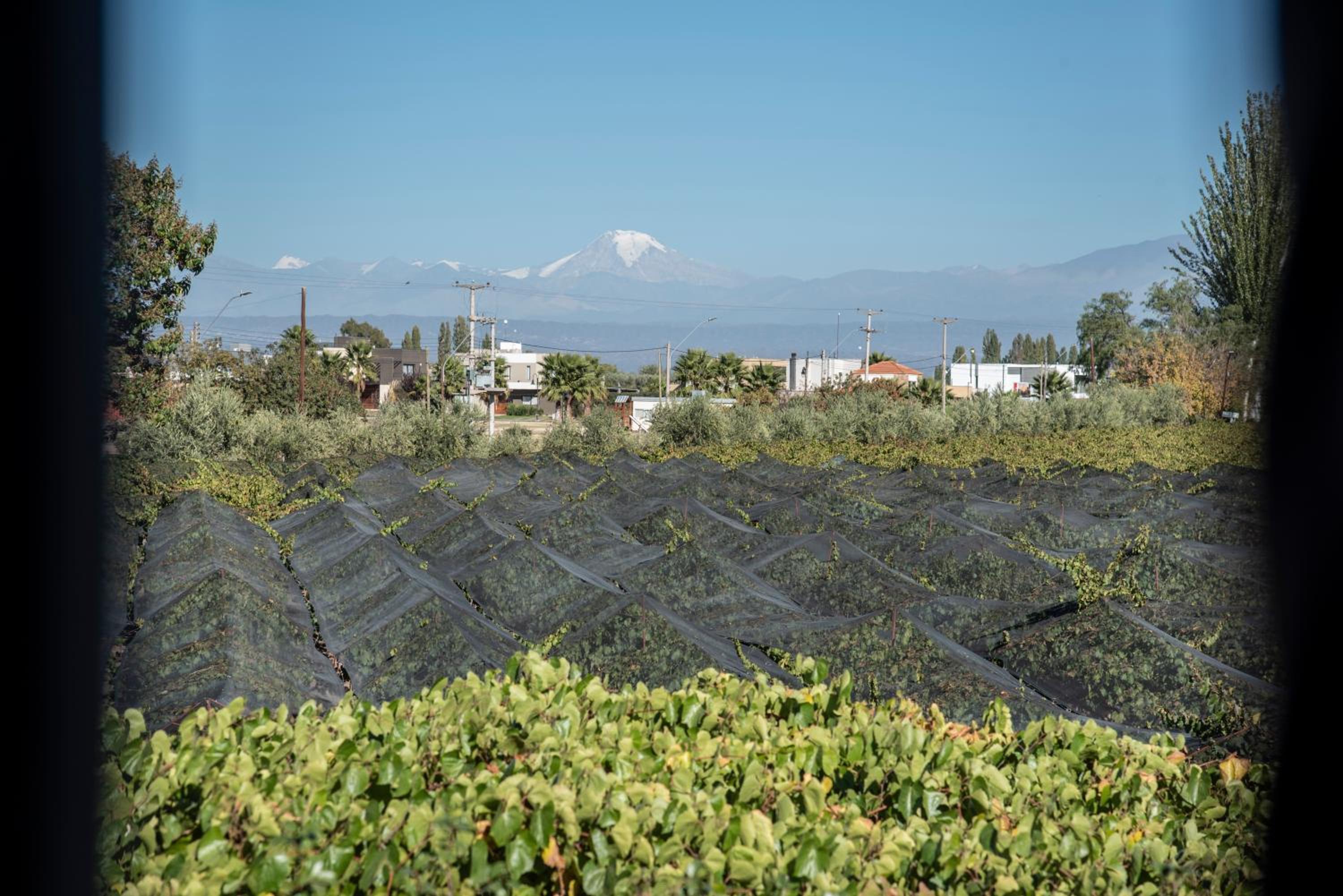 Finca Mosso Lunlunta