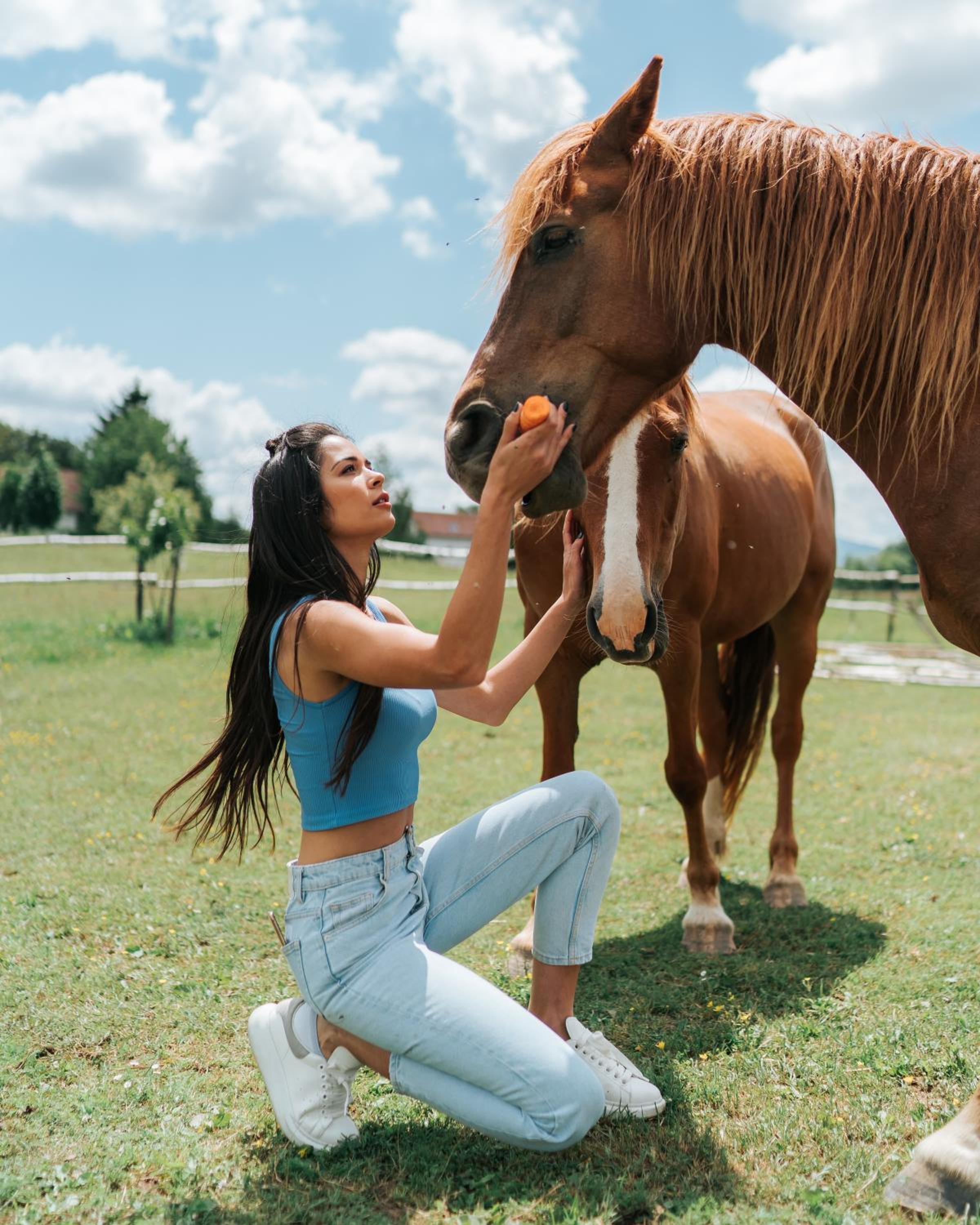 Ranch Terra