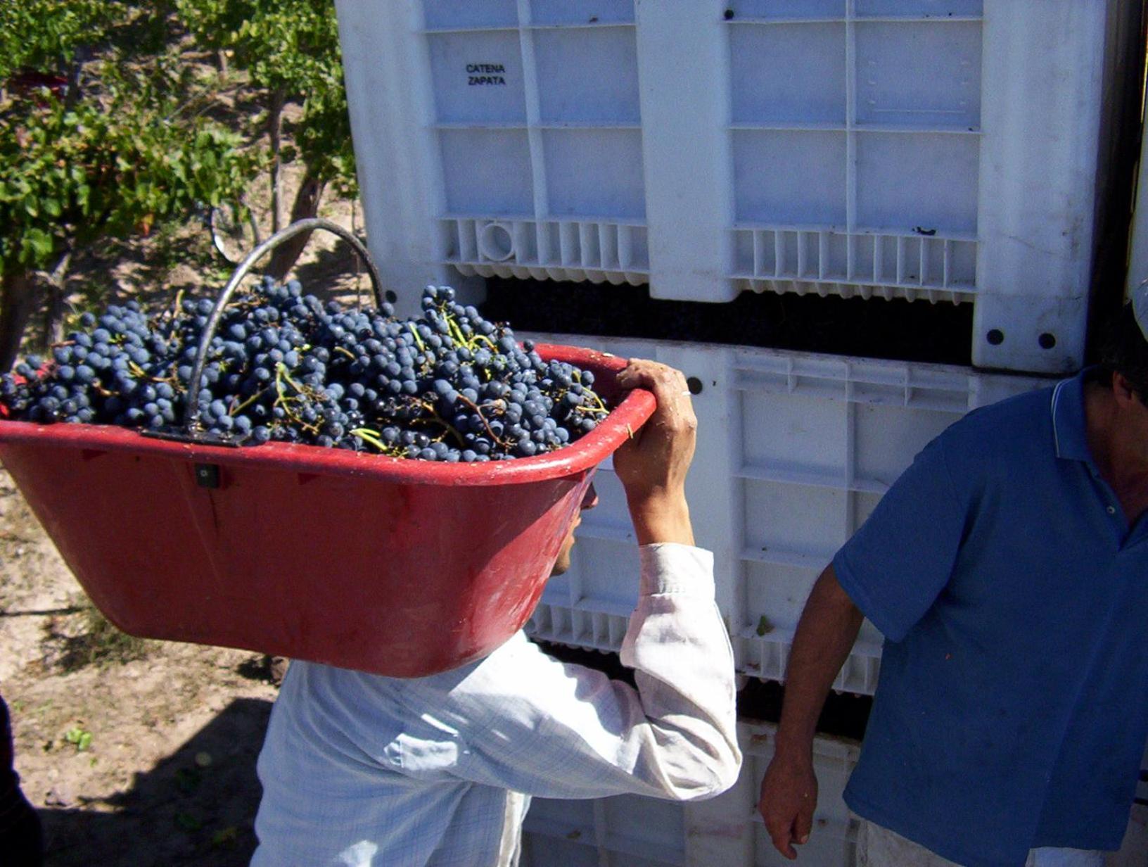 Finca Mosso Lunlunta