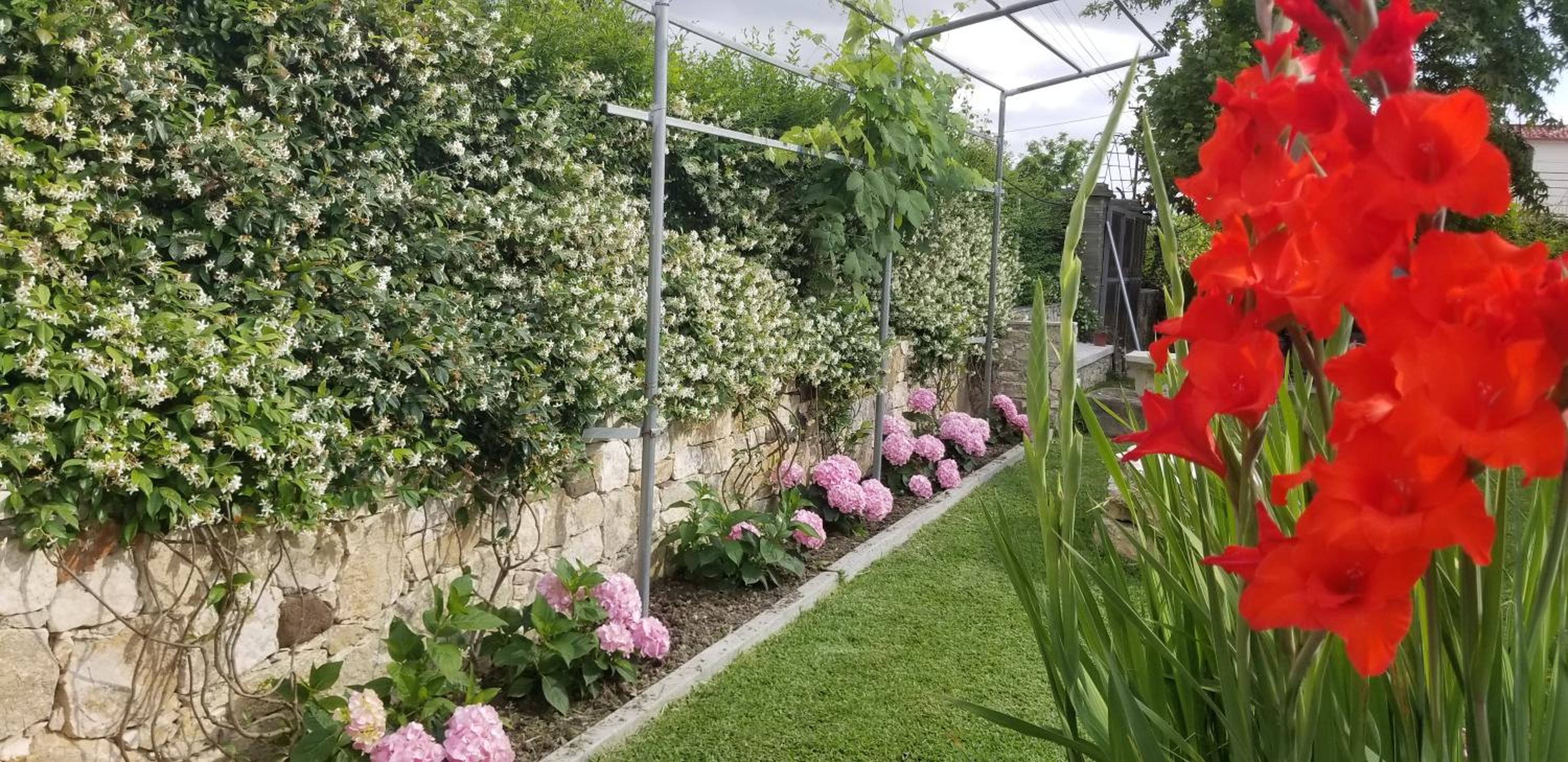 Country House Bubullime Albania (Villa - Cottage)
