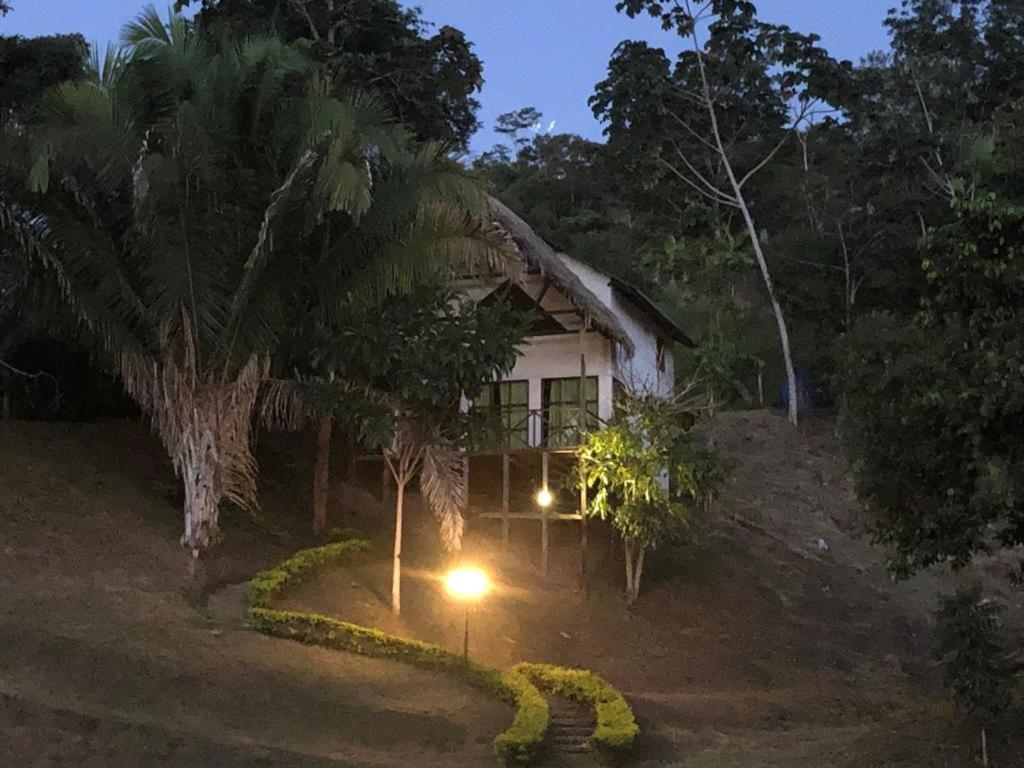 Sauce Lodge - Laguna Azul