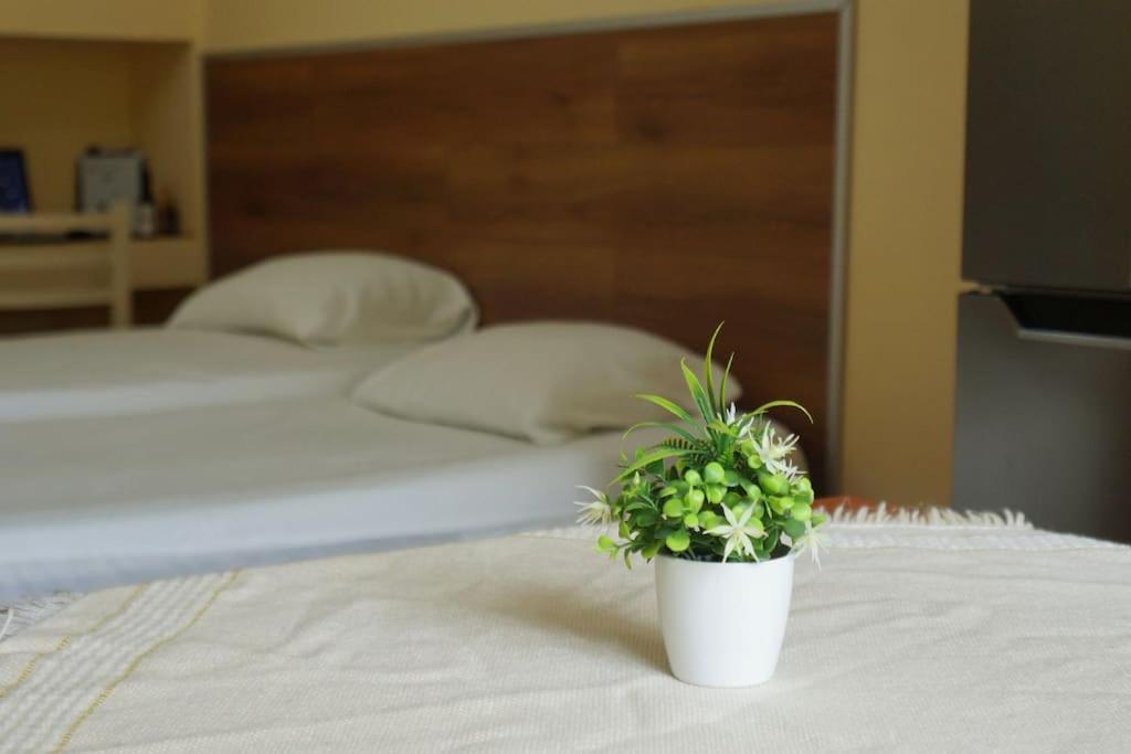Alle's M Shyri studio apartment