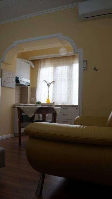 Alle's M Shyri studio apartment