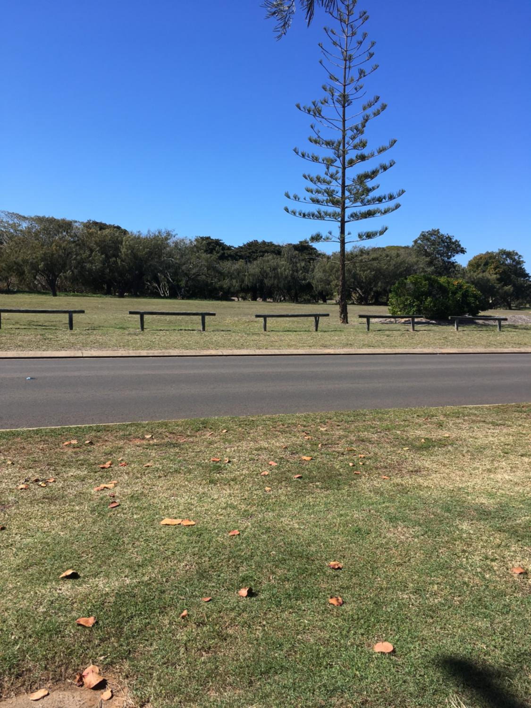 Anchors Away at Innes Park Opp Park & Beach dogs welcome inside