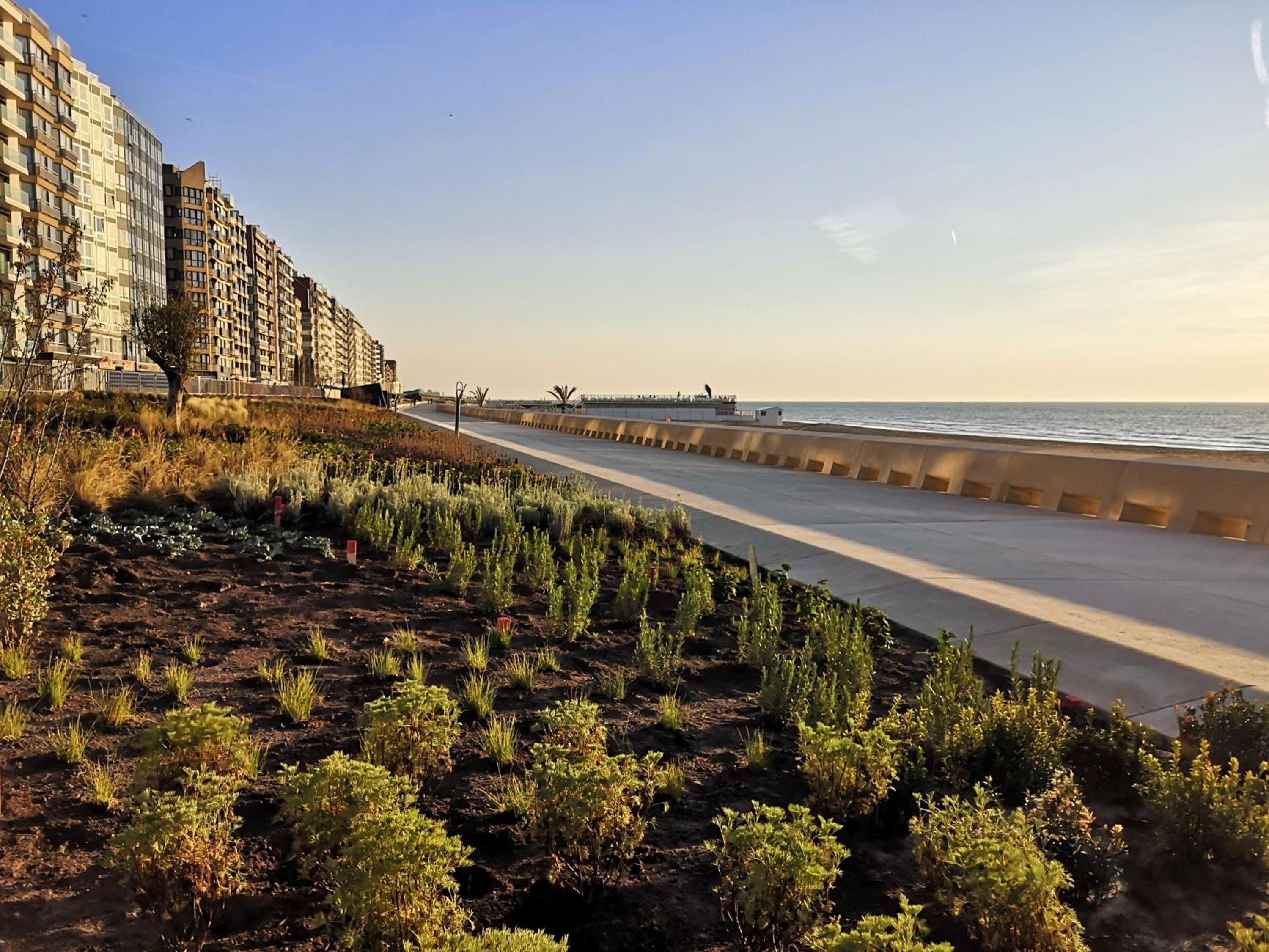 Westeinders Sea View