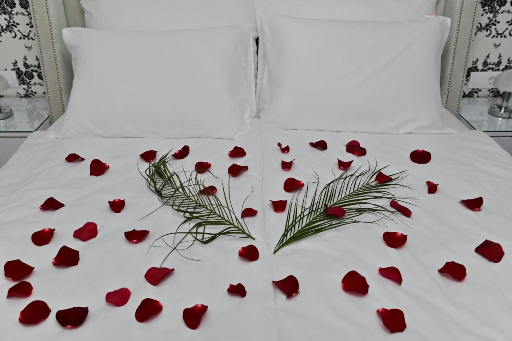 Apartmani Homoljsko Jutro ☆☆☆☆ Apartments Homolje Morning ☆☆☆☆ view 4