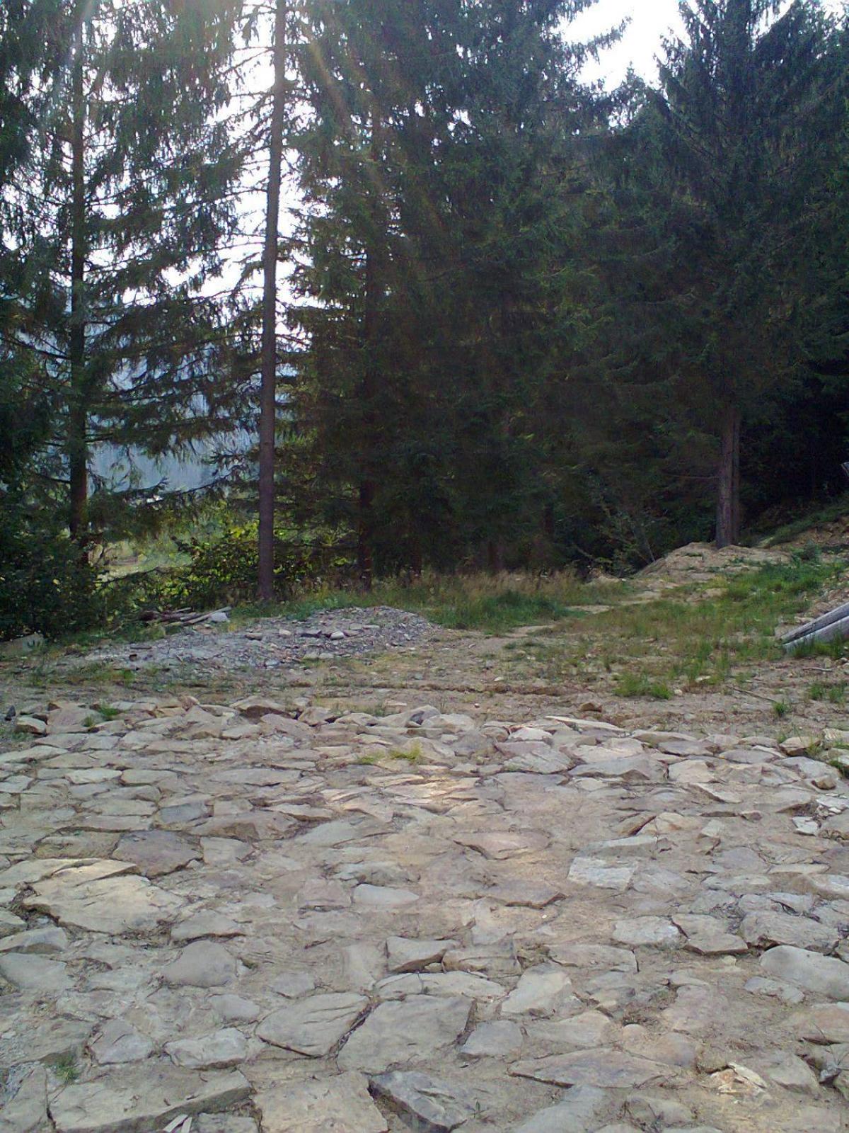 Photo 62