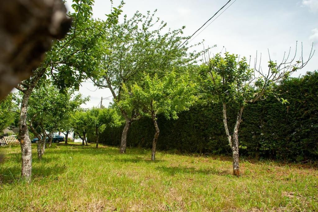 Casa Rural Fidalgo