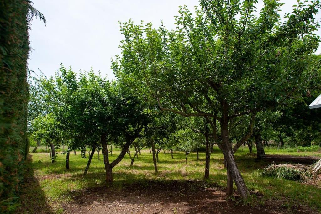 Casa Rural Fidalgo