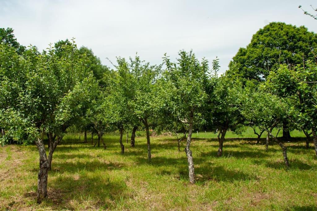 Casa Rural Fidalgo