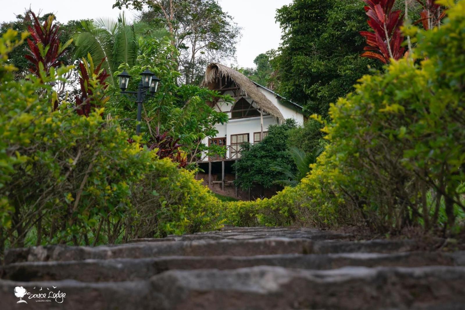 Sauce Lodge - Laguna Azul