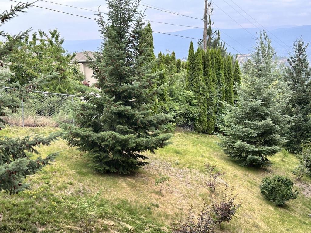 Stay In The Okanagan - Copper Sky, West Kelowna