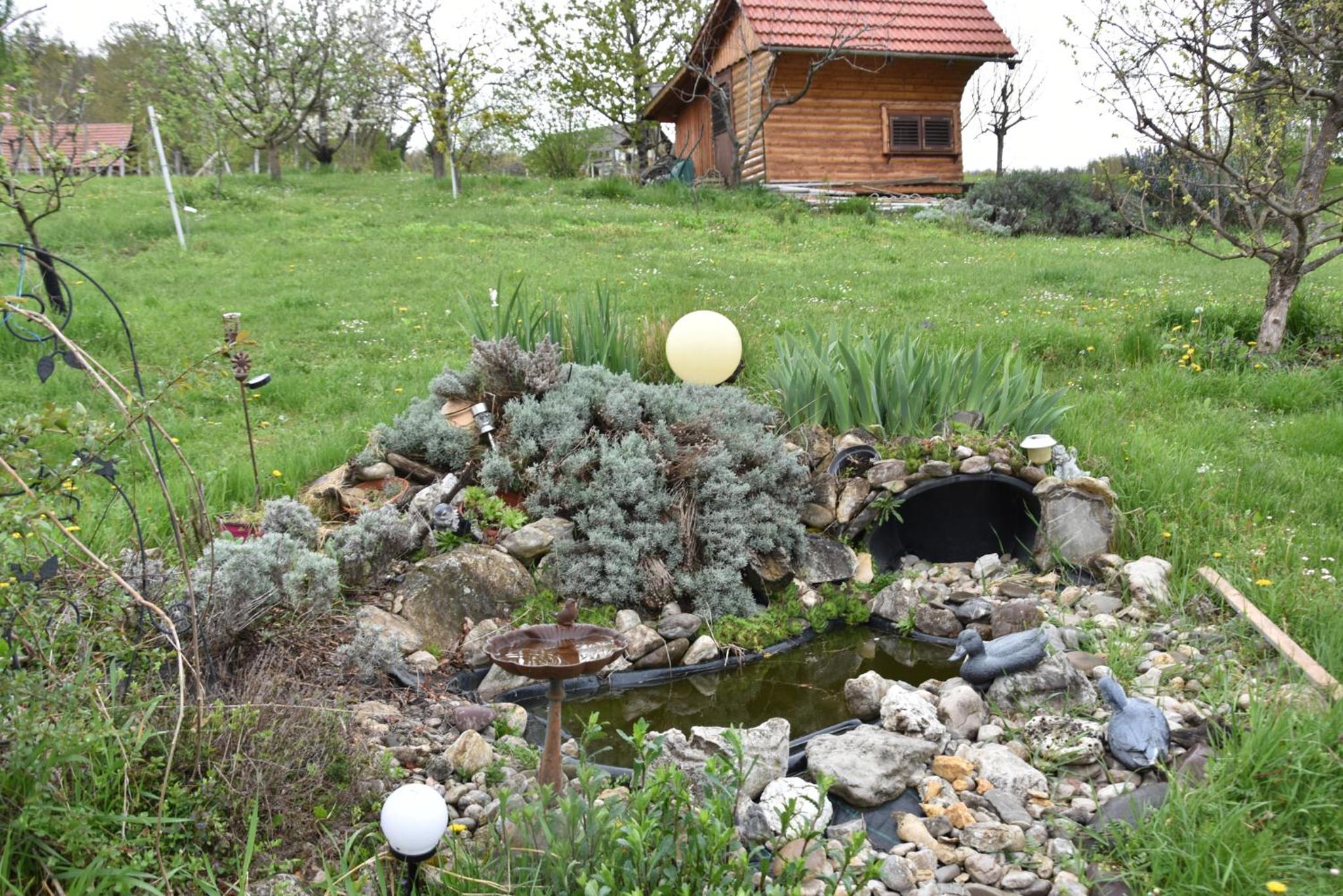 Photo 13