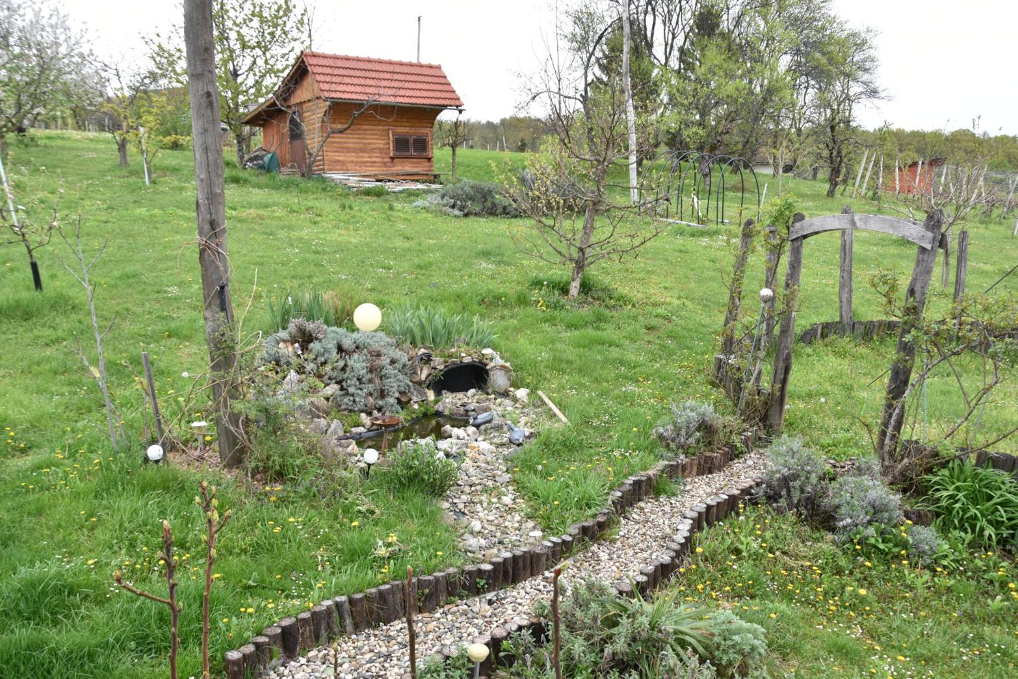 Photo 14