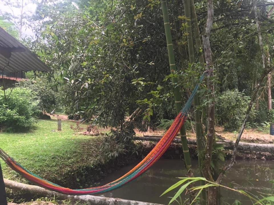 Finca Bambú Del Valle