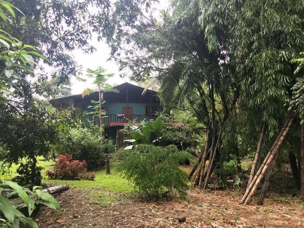 Finca Bambú Del Valle