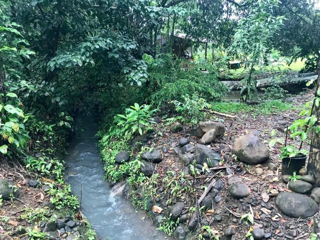 Finca Bambú Del Valle