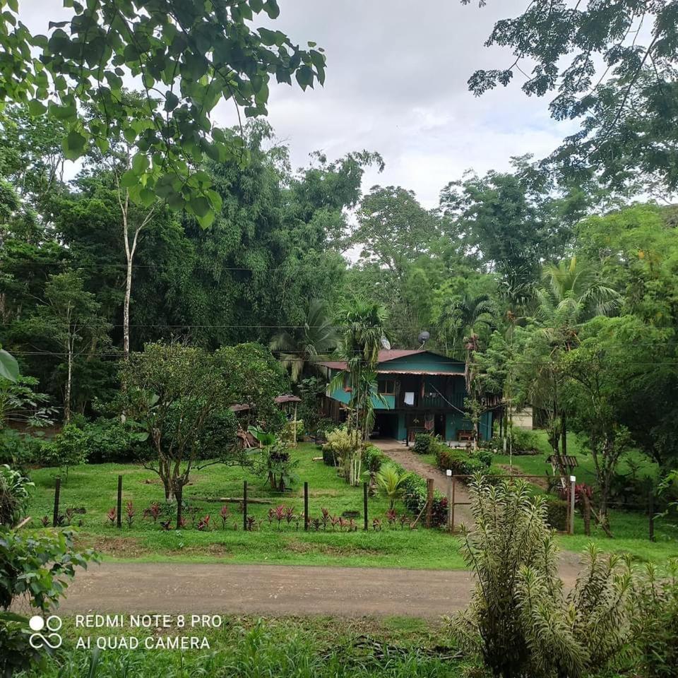 Finca Bambú Del Valle