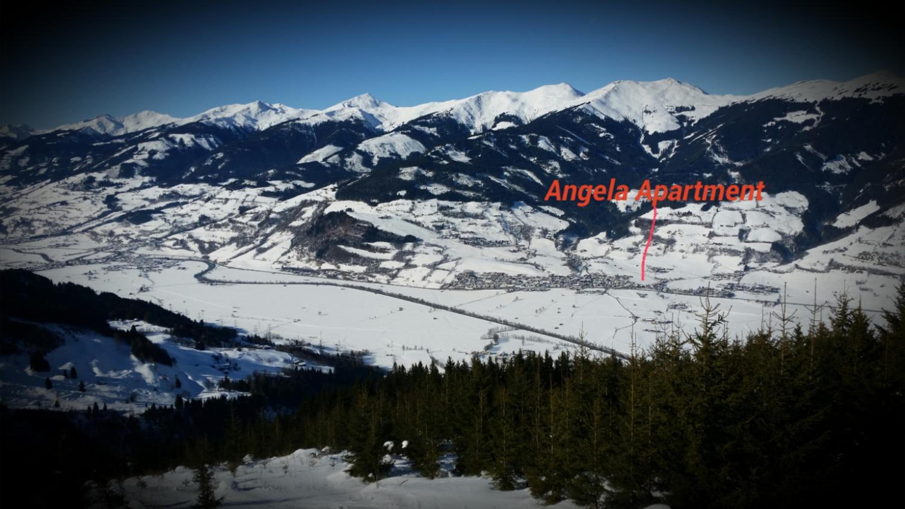 Angela Apartment